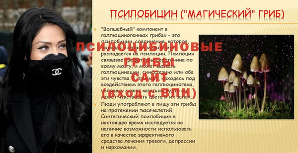 СК Остров