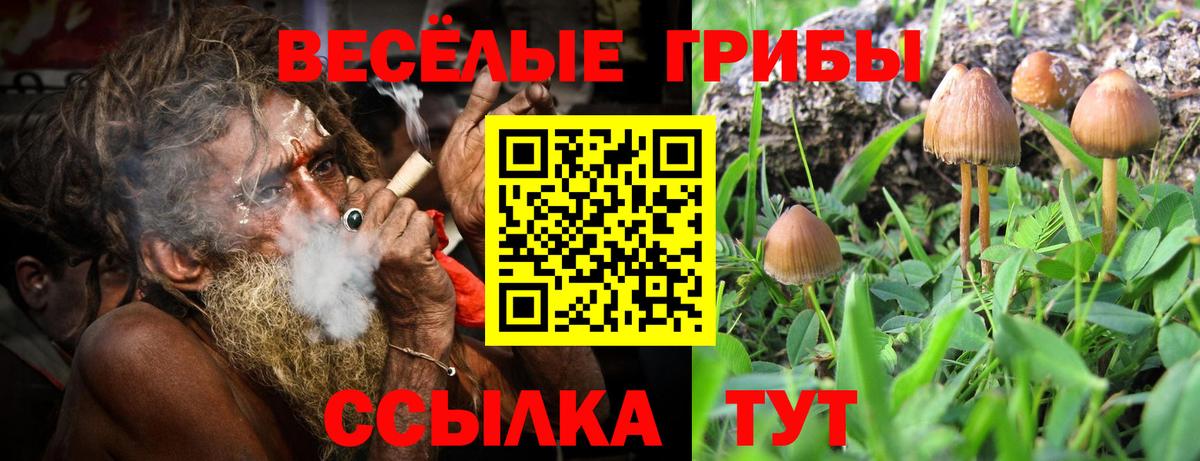 Великий Новгород  Галлюциногенные грибы Magic Shrooms  Псилоцибиновые грибы ЛСД  Вход с VPN 