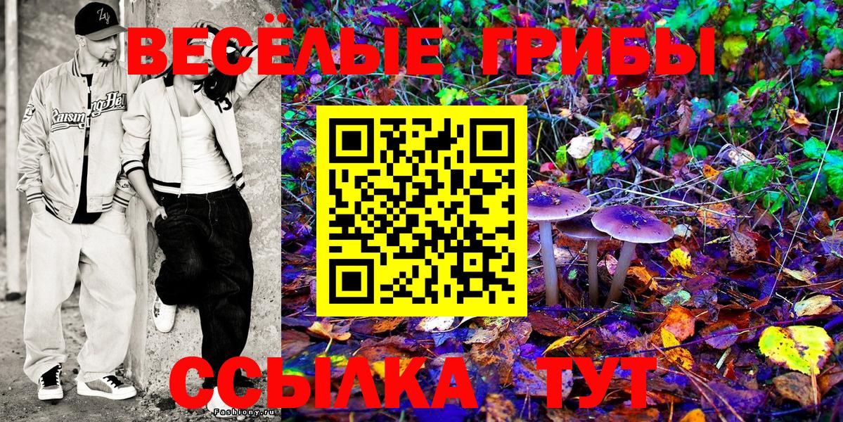 Галлюциногенные грибы Cubensis Великий Новгород